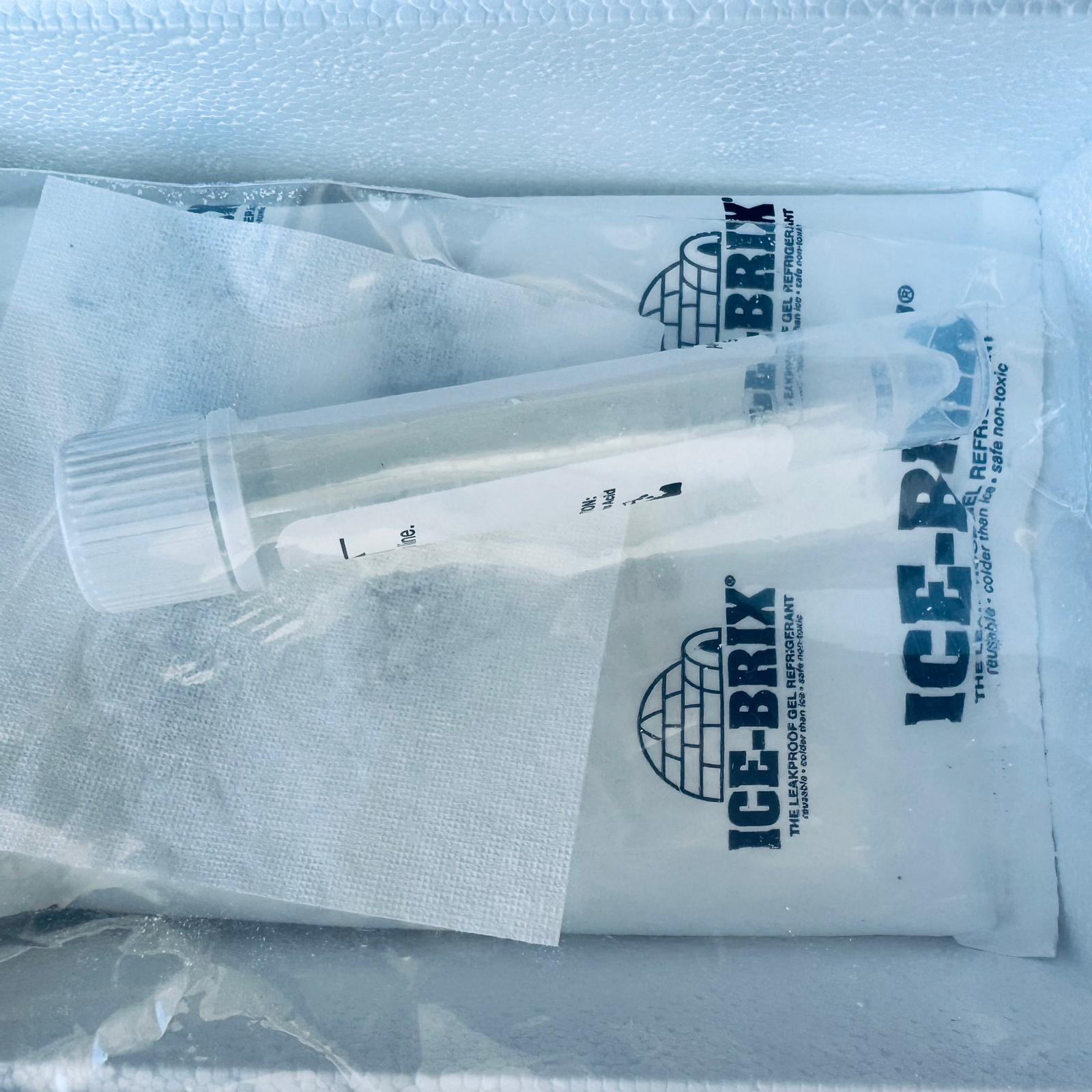 Neurotransmitters Test image 3