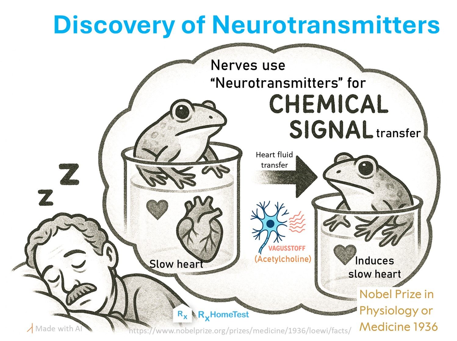 List of Neurotransmitters