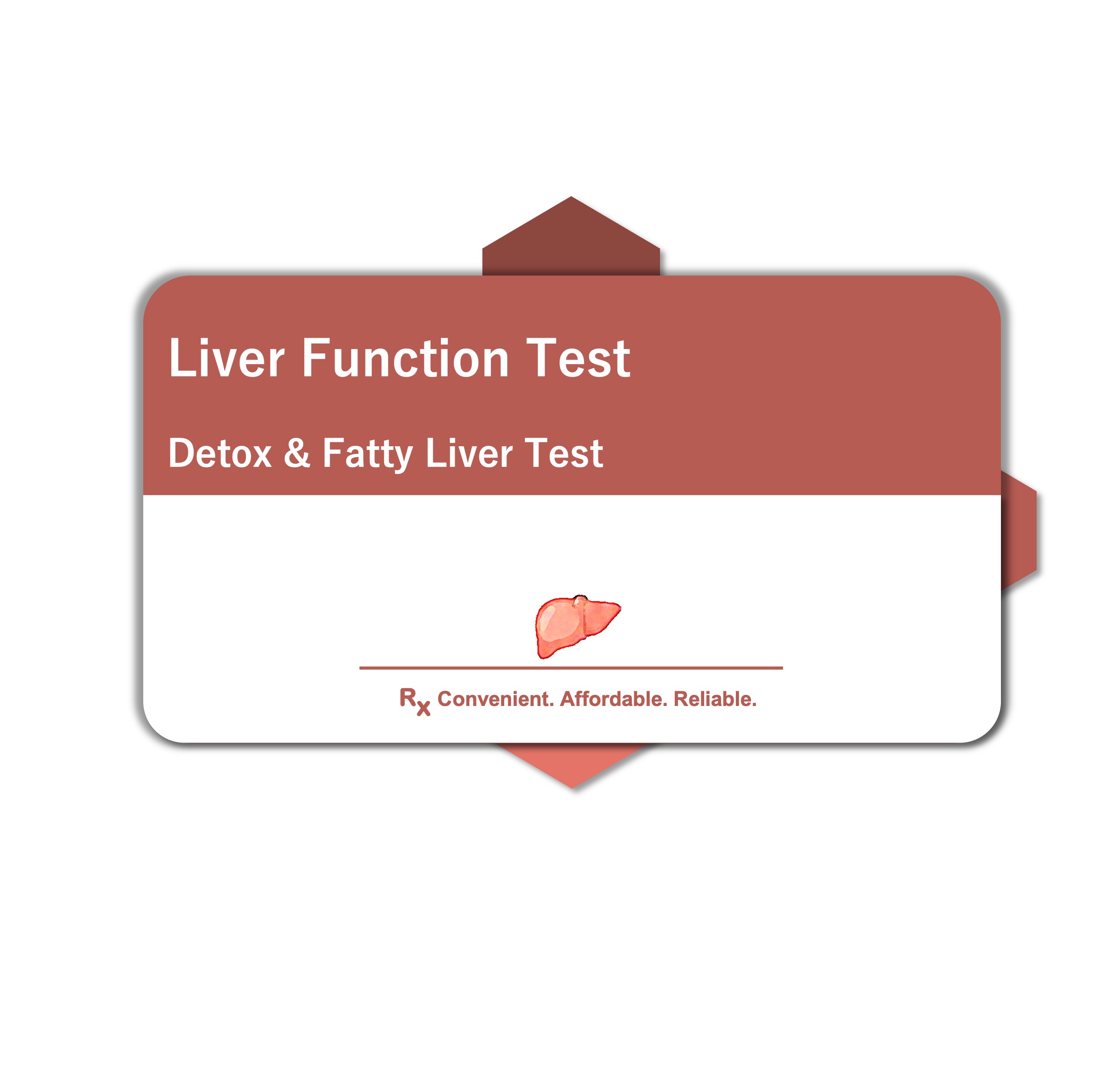 Liver Function Test
