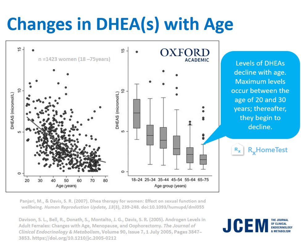 DHEA and DHEAS - The Super Hormones