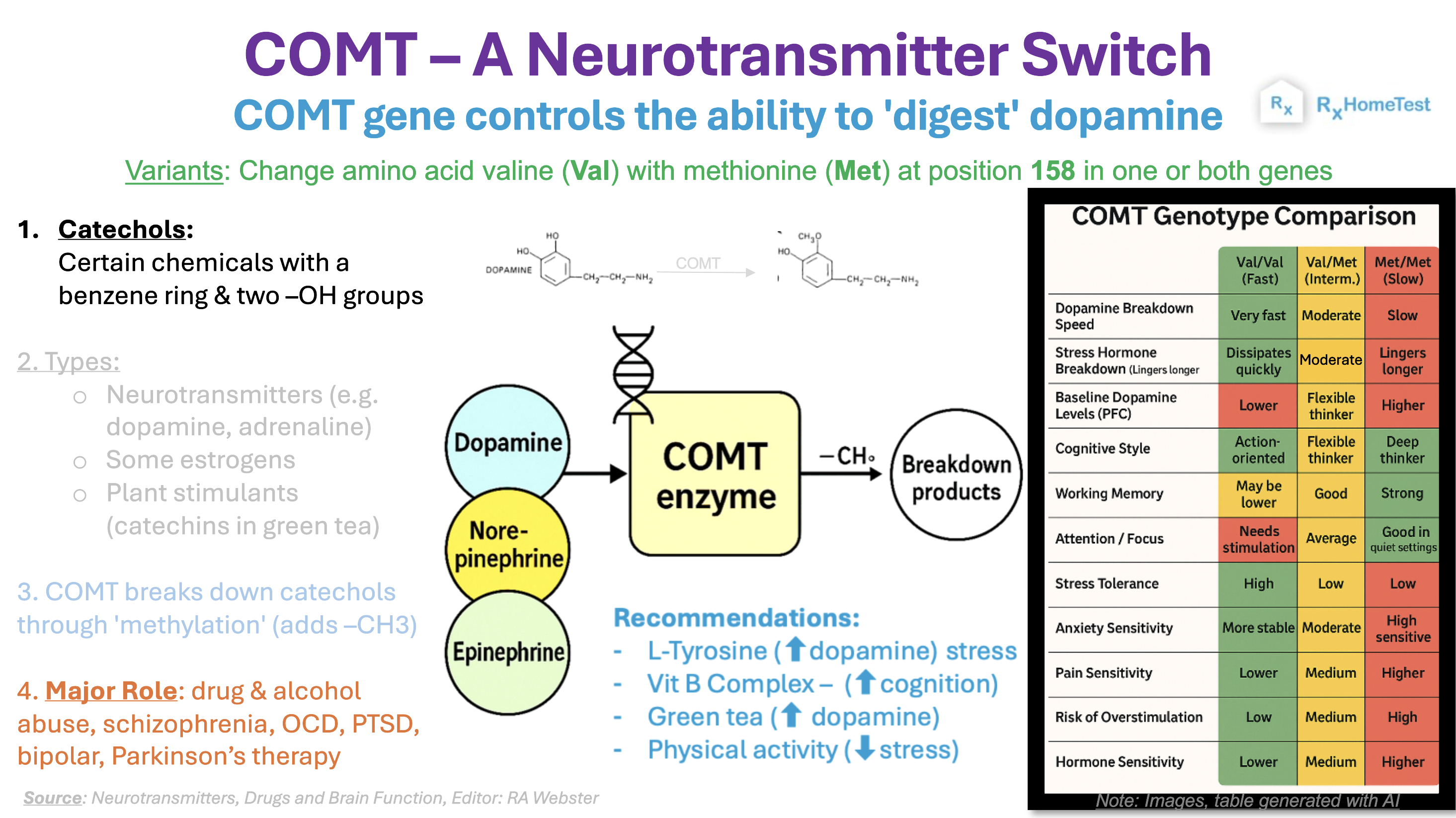 COMT Gene - For Neurotransmitters, Anxiety & Mental Health
