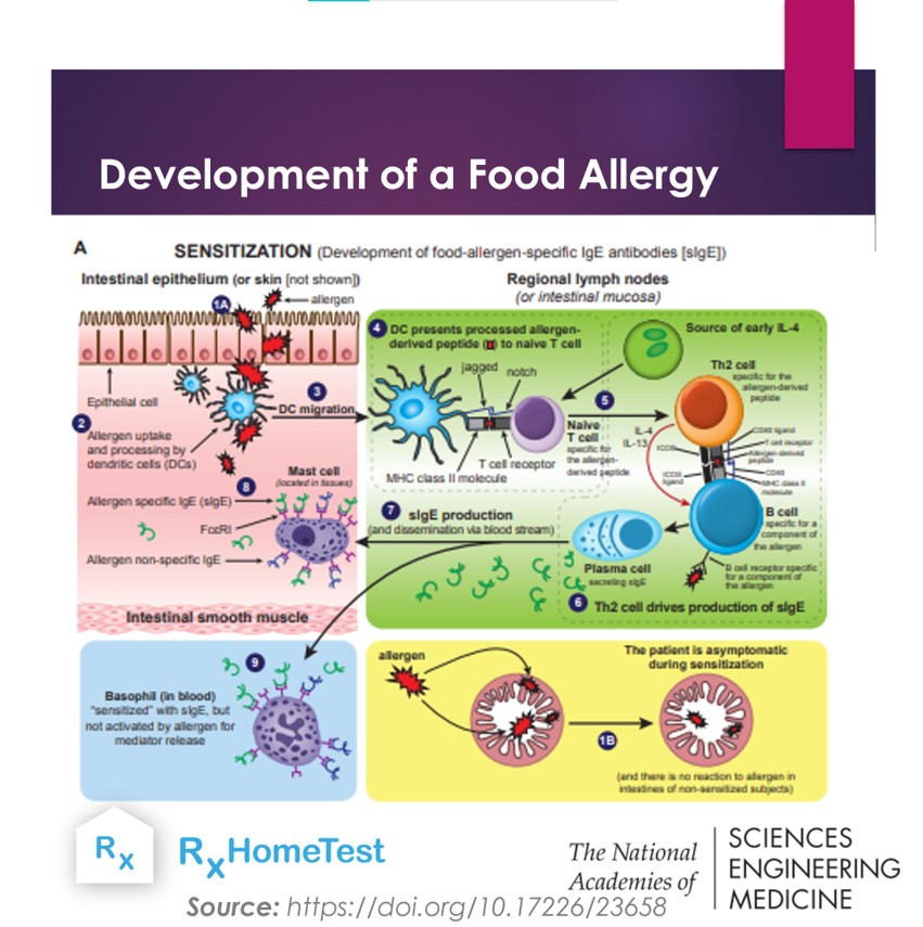 The Link Between Mold Allergy and Food Sensitivity