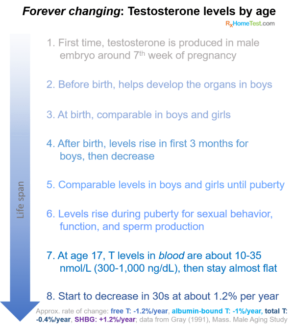 Testosterone-levels-by-age