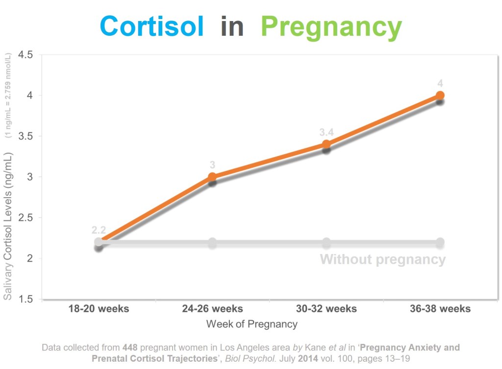 cortisol-in-pregnancy